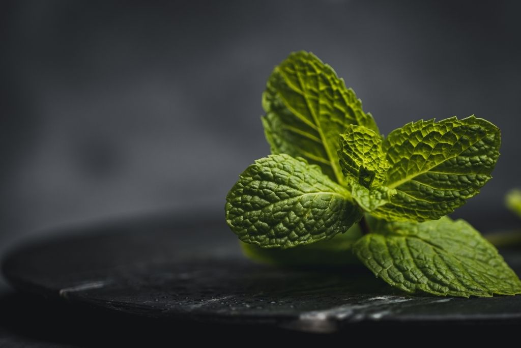 Pfefferminzol und Zitronenol_ Die Wirkung auf Mannerhaare